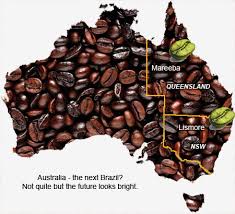 Why is Australian Coffee So Good?